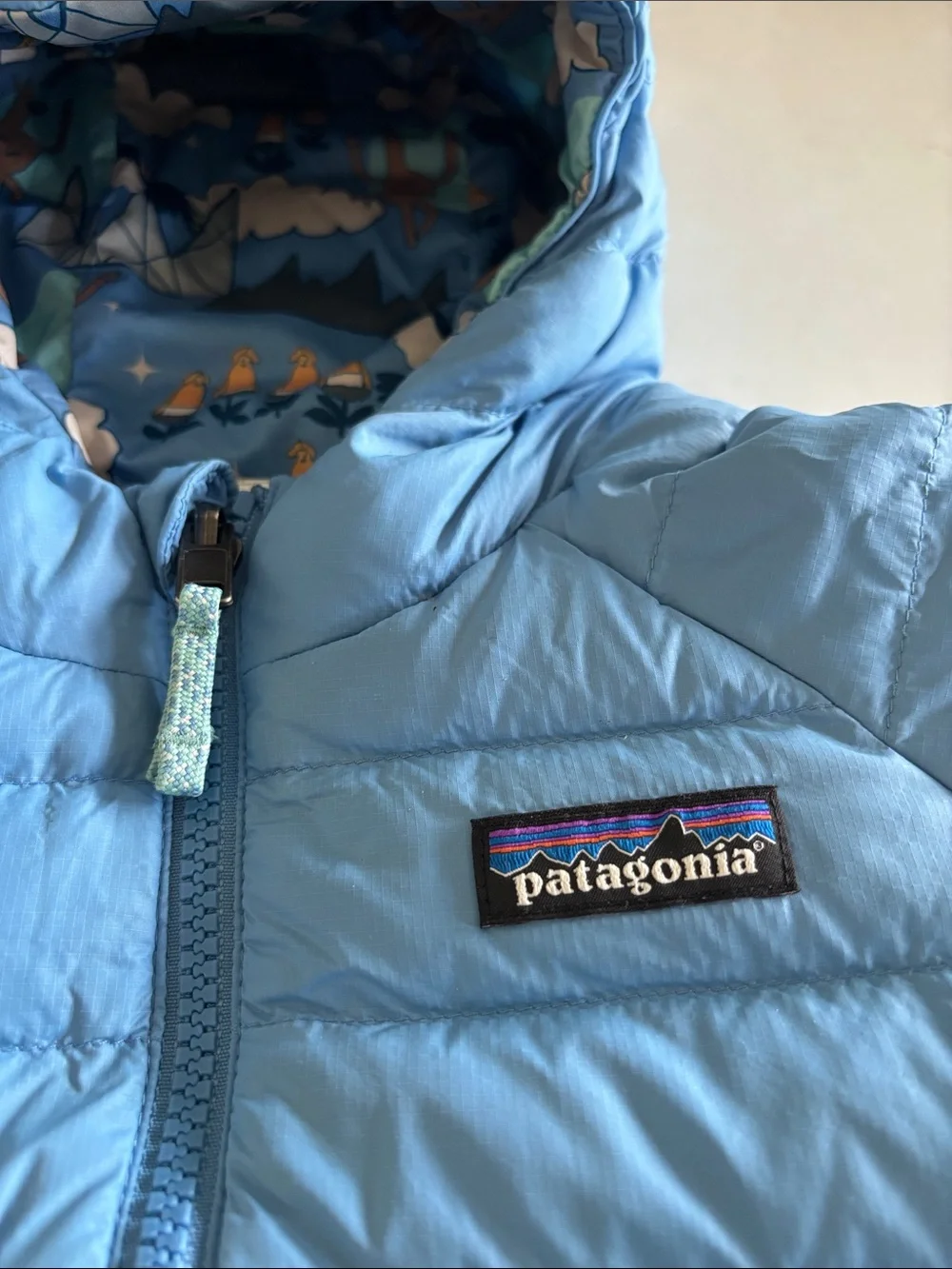 Patagonia Light Blue Kids Puffer Jacket with Hood